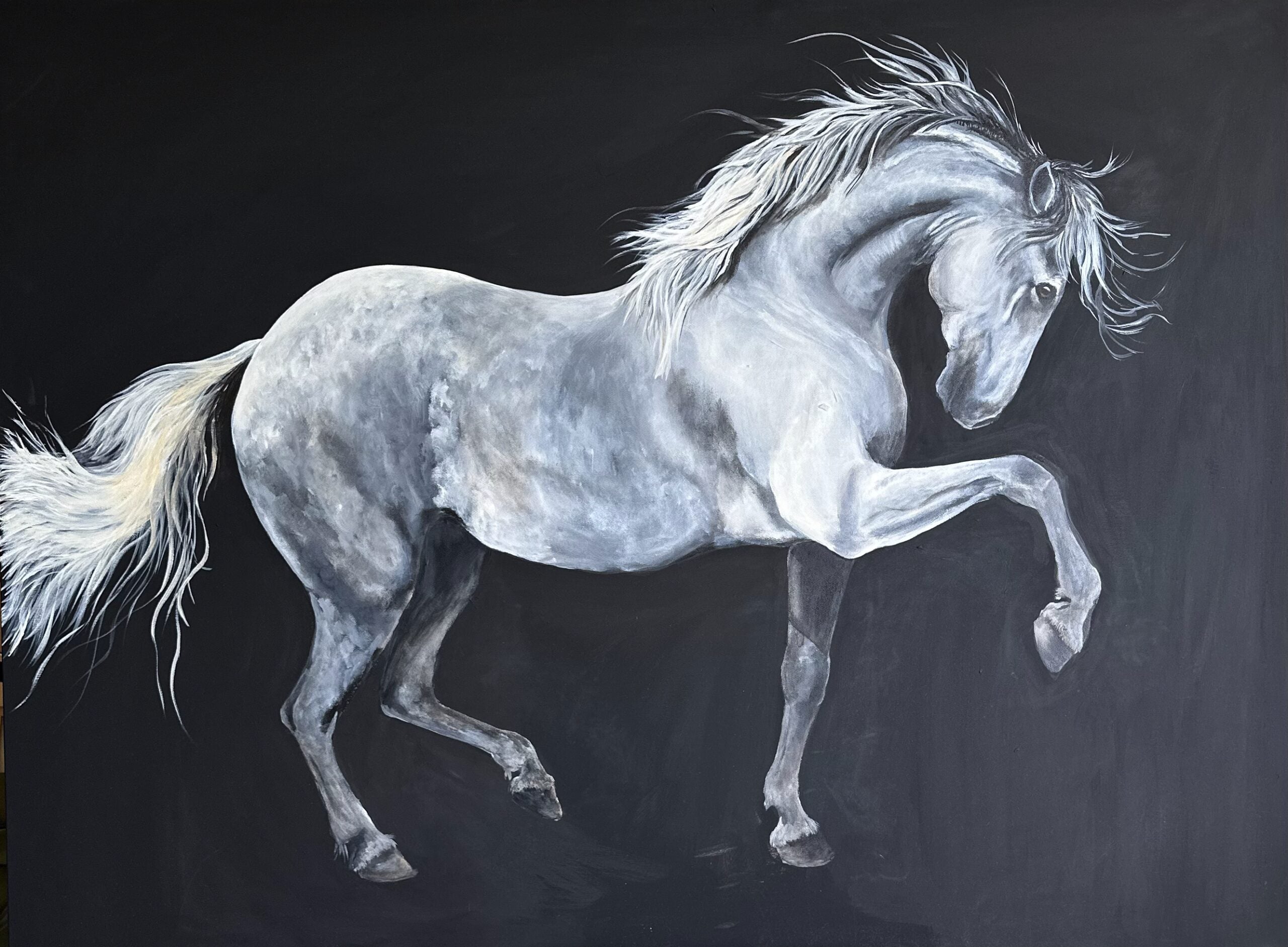 Discover Donna Brown’s latest collection at the Sydney Affordable Art Fair this November—playful, expressive animal portraits full of humour, heart, and personality.