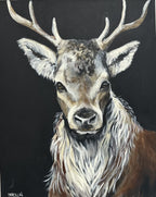 Discover Donna Brown’s latest collection at the Sydney Affordable Art Fair this November—playful, expressive animal portraits full of humour, heart, and personality.