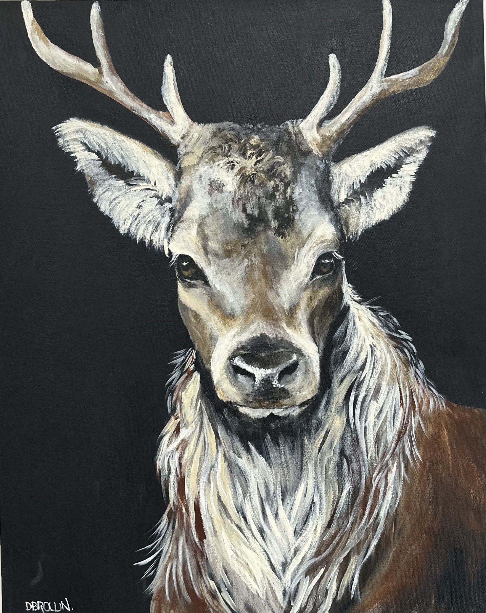 Discover Donna Brown’s latest collection at the Sydney Affordable Art Fair this November—playful, expressive animal portraits full of humour, heart, and personality.