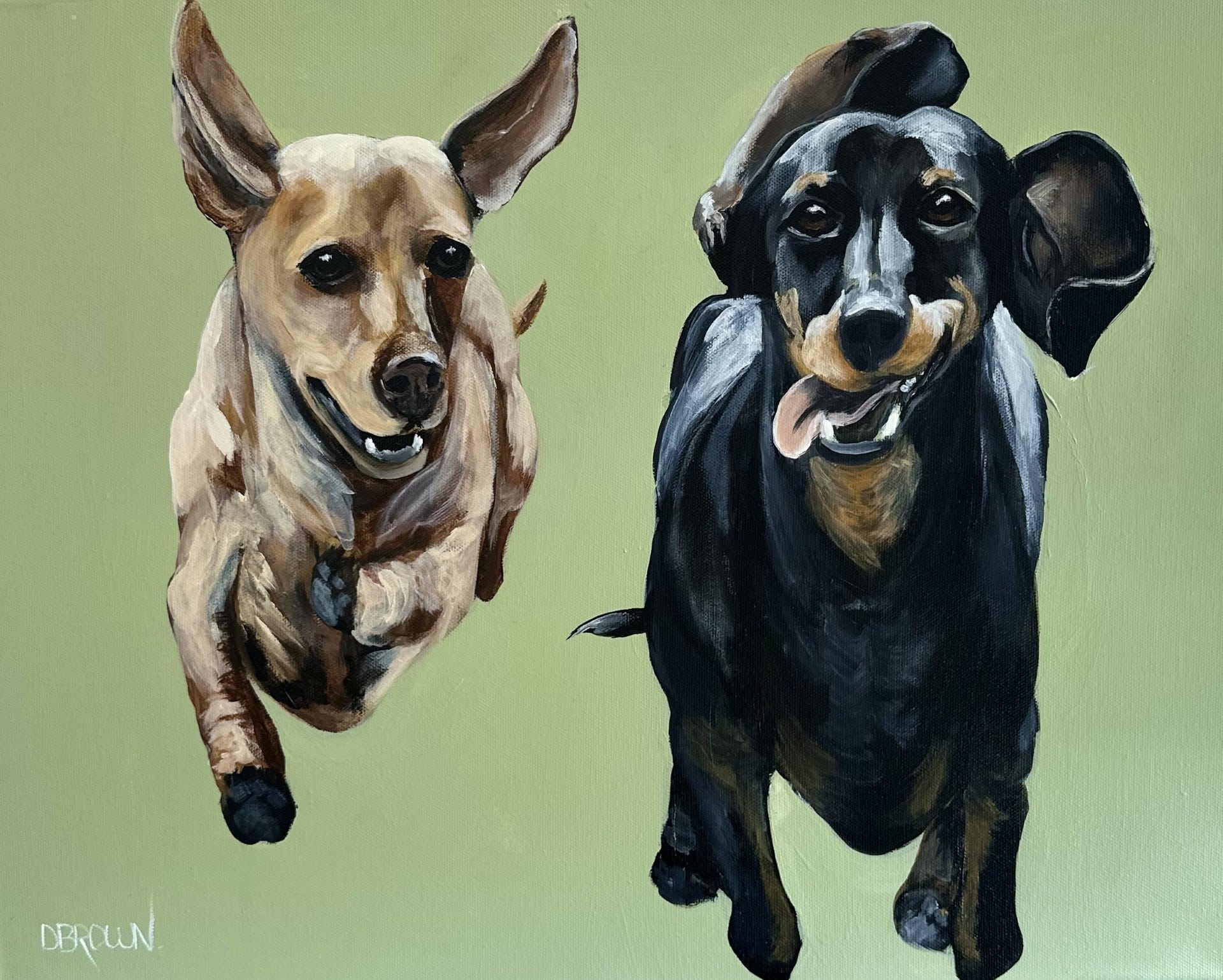 Discover Donna Brown’s new animal artworks—vibrant, expressive portraits full of heart and humour, debuting at the Sydney Affordable Art Fair.