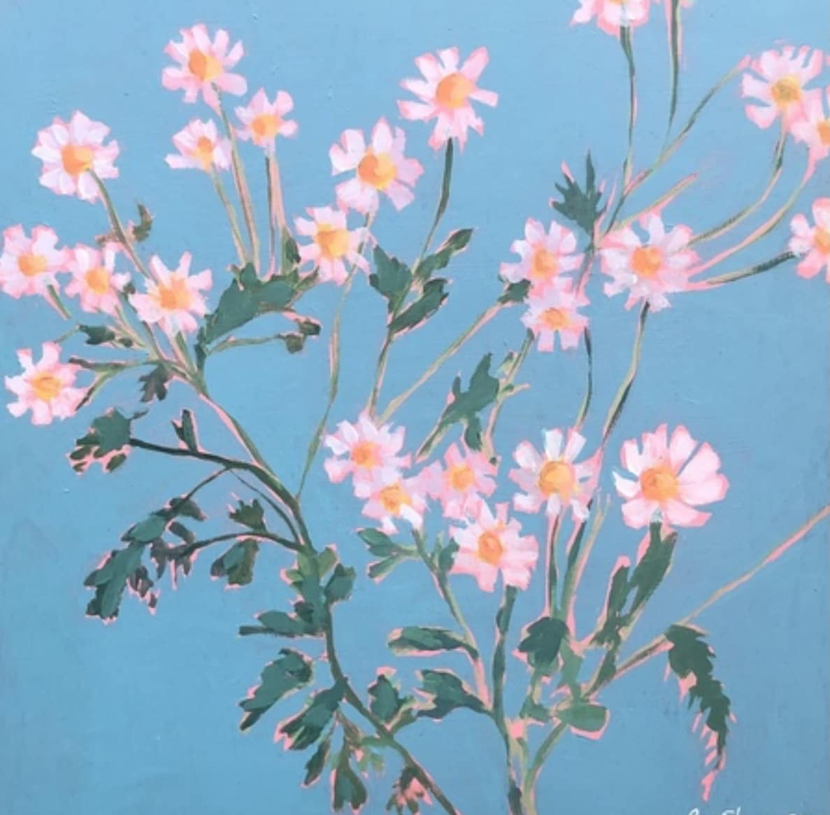 Daisy Days by Emily Shannon