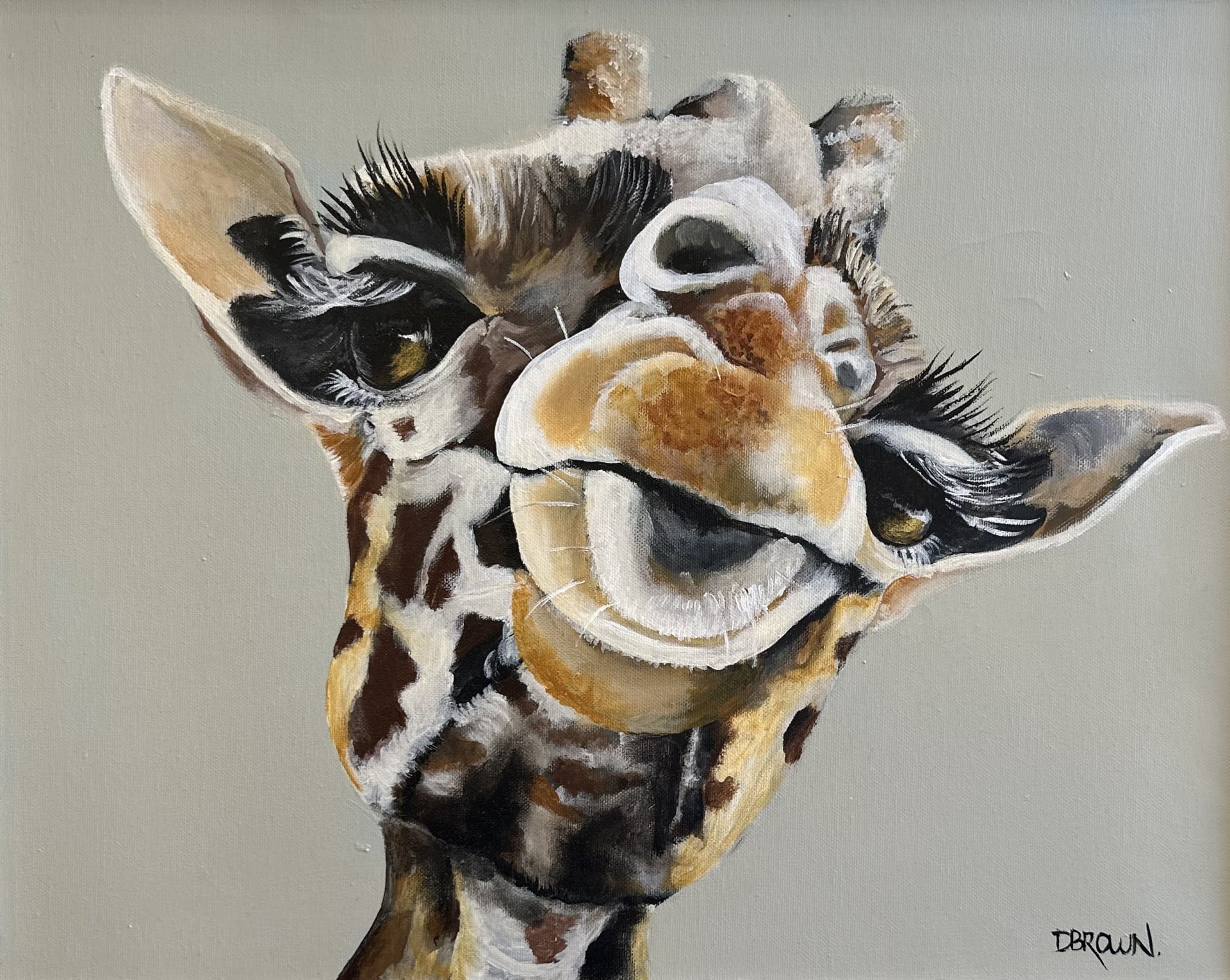 Discover Donna Brown’s latest collection at the Sydney Affordable Art Fair this November—playful, expressive animal portraits full of humour, heart, and personality.