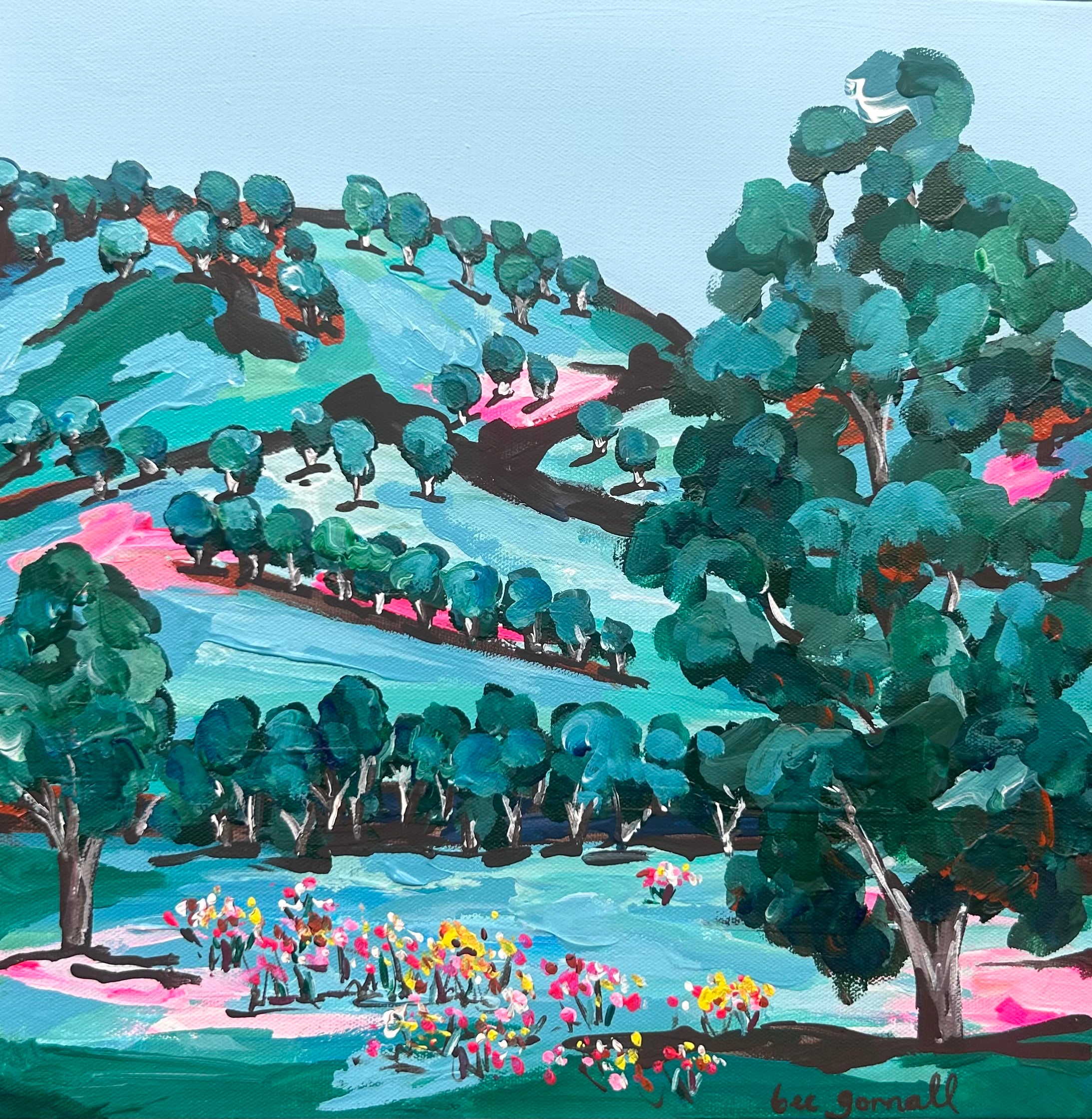 Hamish's Hill