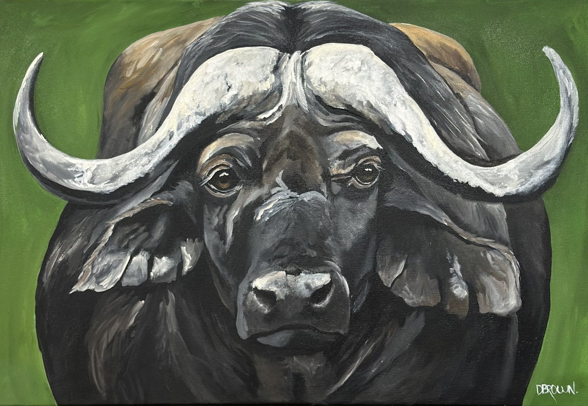 Buffalo Bill