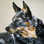 Faithful Heeler
