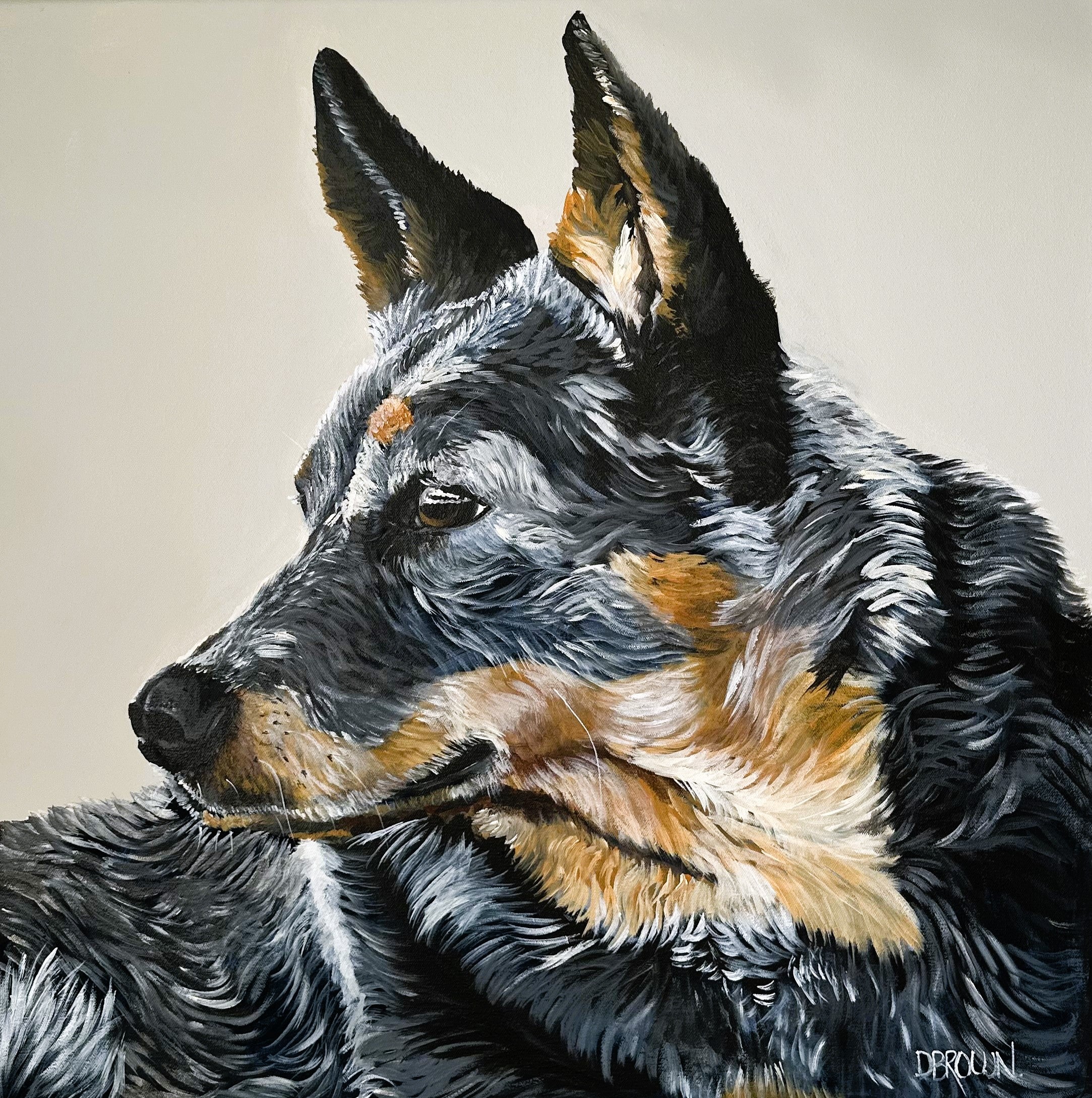 Faithful Heeler