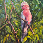 Galah’s Gaze – Original Painting by Karen Walsh