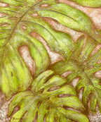 Swiss Miss | Original Australian textured acrylic art