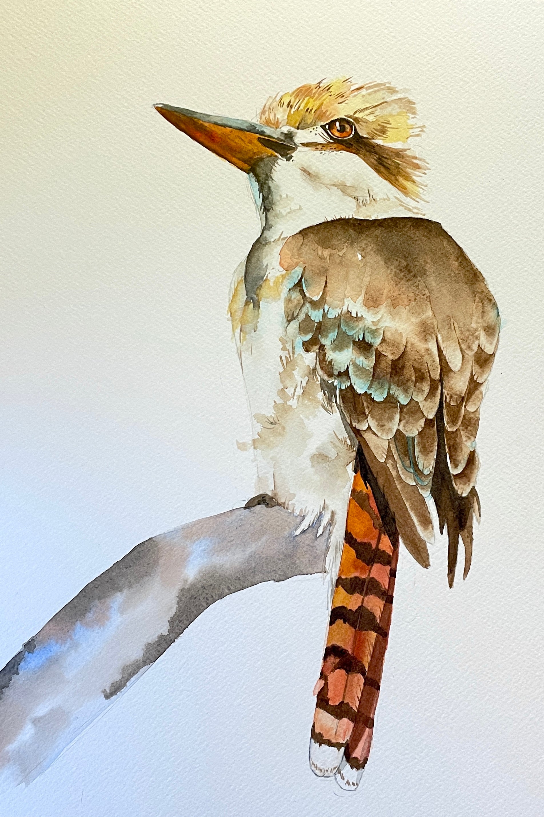 Laughing Jack – Original Artwork by Amanda Morton