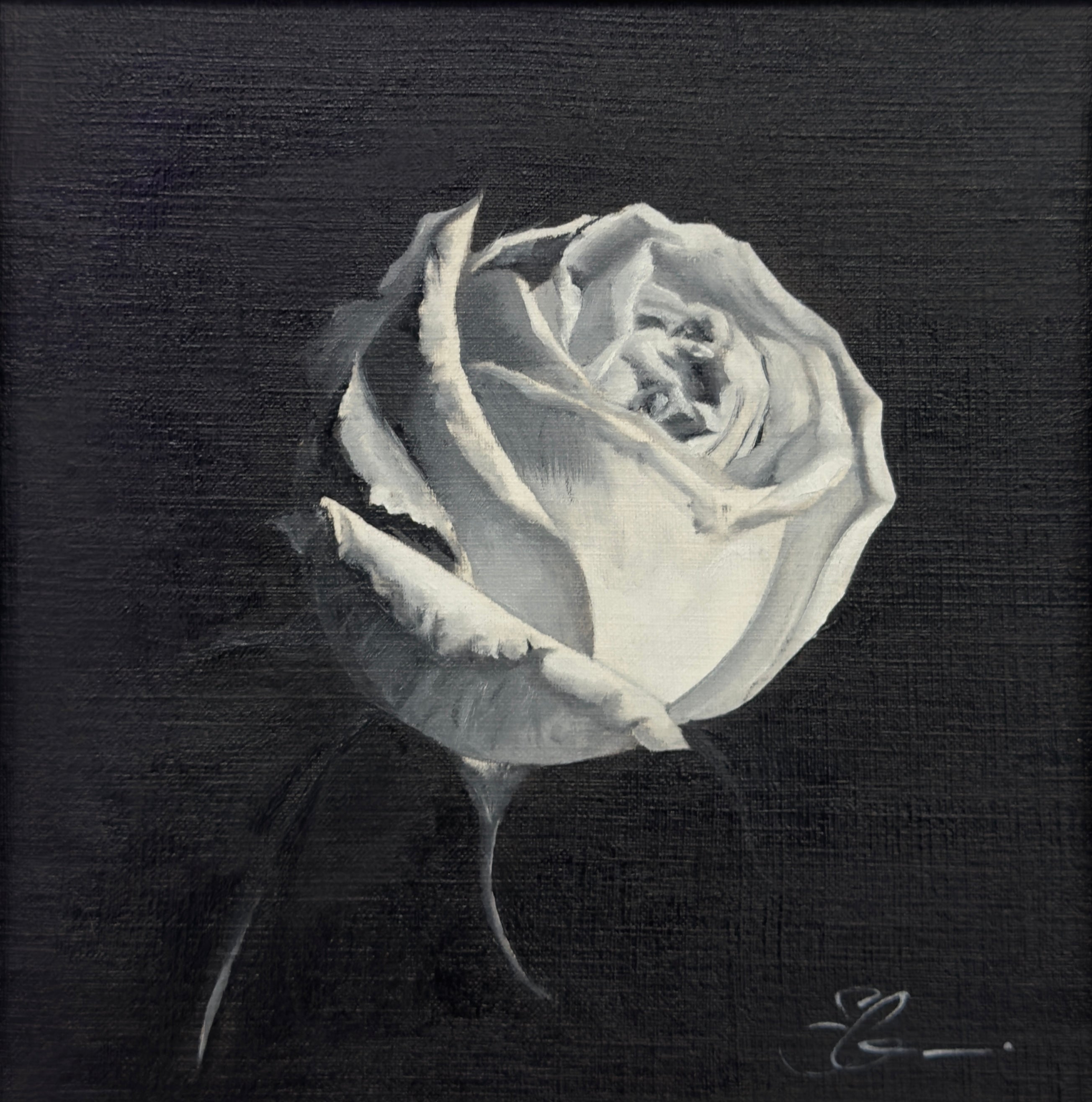The Study of Roses 3