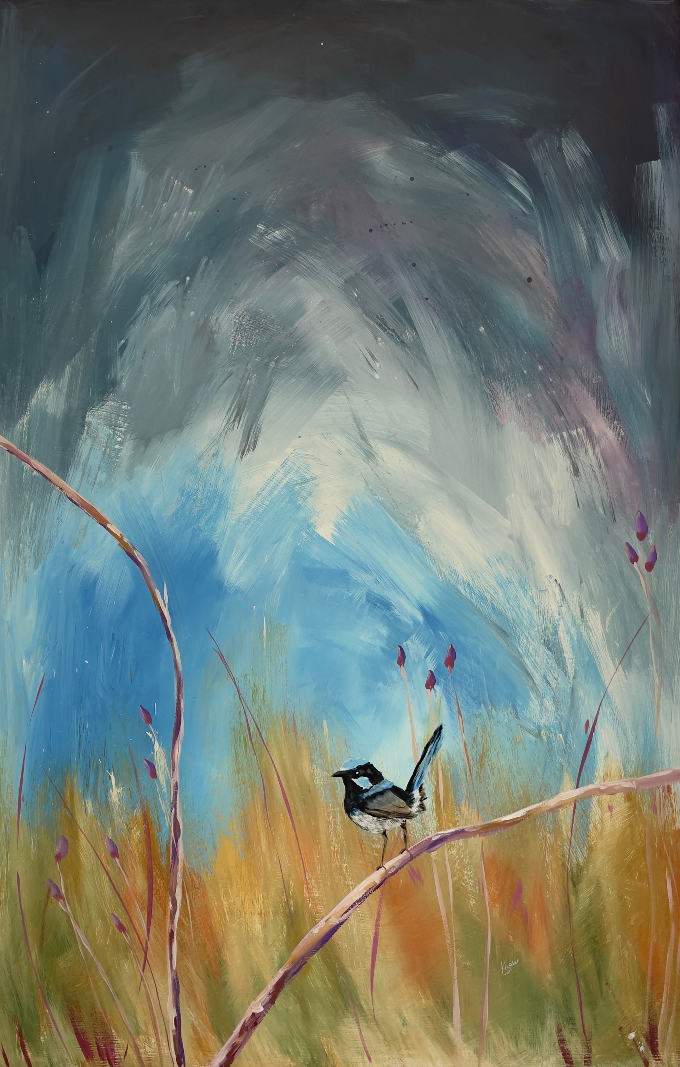 Fairy Wren — Original Artwork by Kim Baker