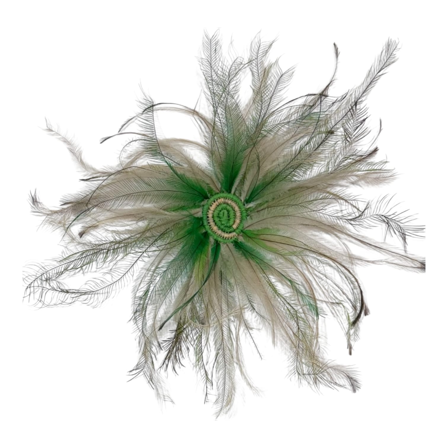 Discover Debbie Wood’s contemporary feather artworks at the Sydney Affordable Art Fair—original perspex and glass-encased pieces celebrating culture, Country, and identity.