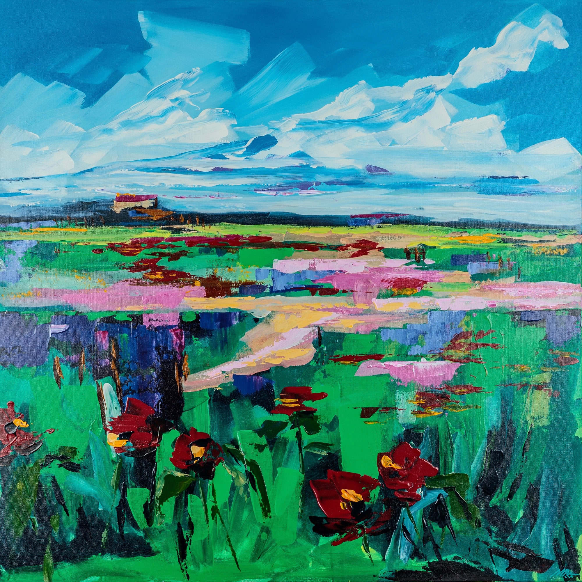 Champs de coquelicots