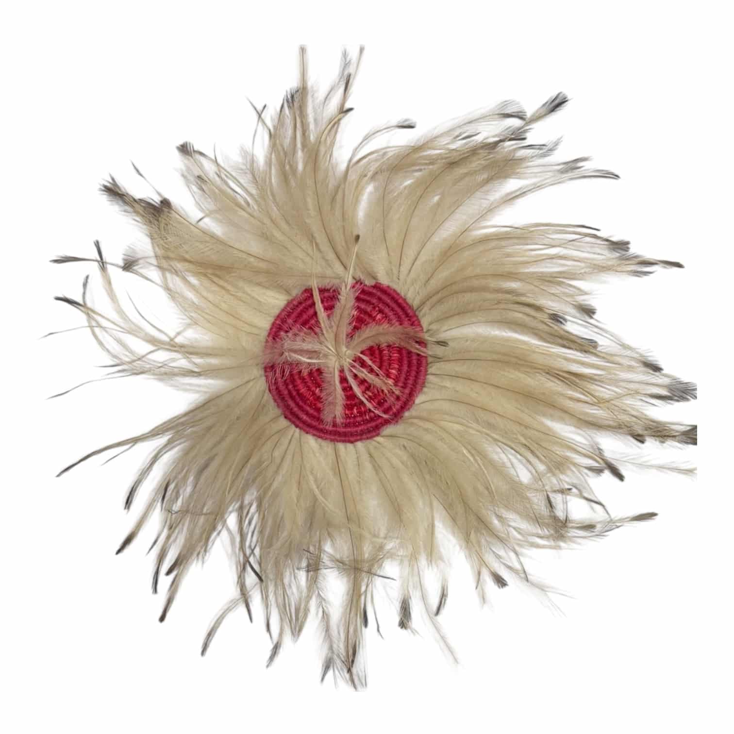 Discover Debbie Wood’s contemporary feather artworks at the Sydney Affordable Art Fair—original perspex and glass-encased pieces celebrating culture, Country, and identity.