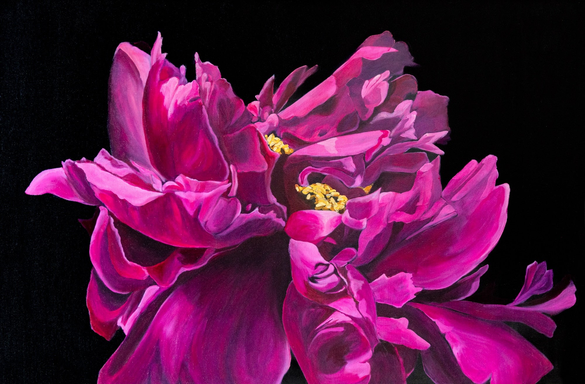 "Magenta Peony" by Maggie Deall is a vibrant oil painting of a magenta peony in full bloom. Framed in Australian hardwood, it’s a striking floral work.