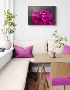Magenta Peony