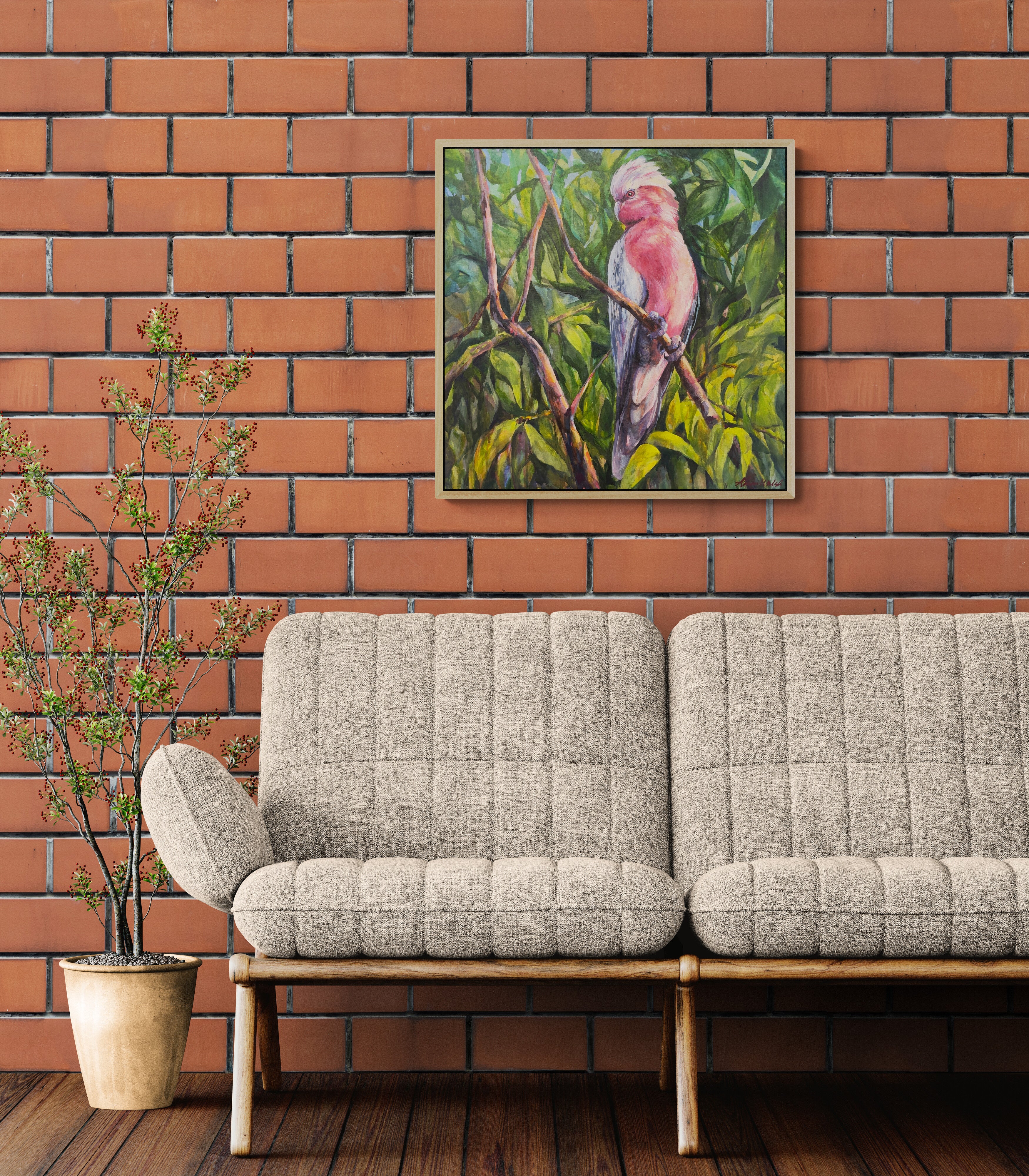 Galah’s Gaze – Original Painting by Karen Walsh