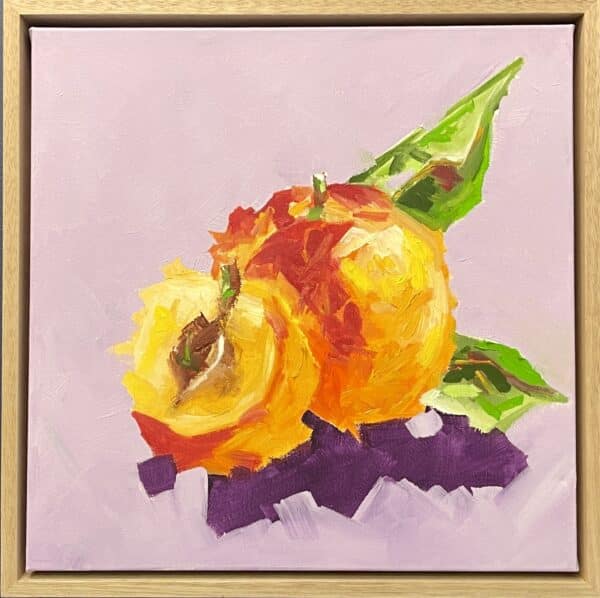 The Fruit - Apricot 2 by Maggie Deall