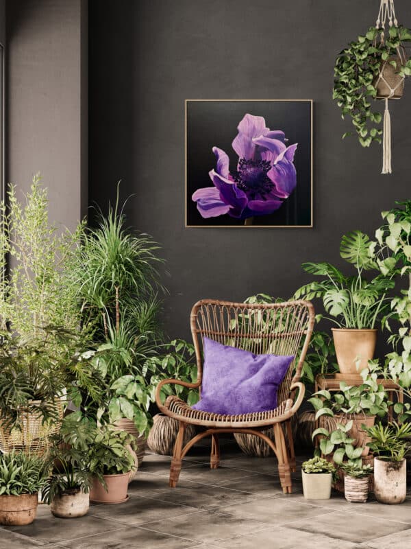 "Midnight Anemone" by Maggie Deall is an elegant oil painting in shades of violet and lavender. Float framed in hardwood, it’s a stunning floral artwork.