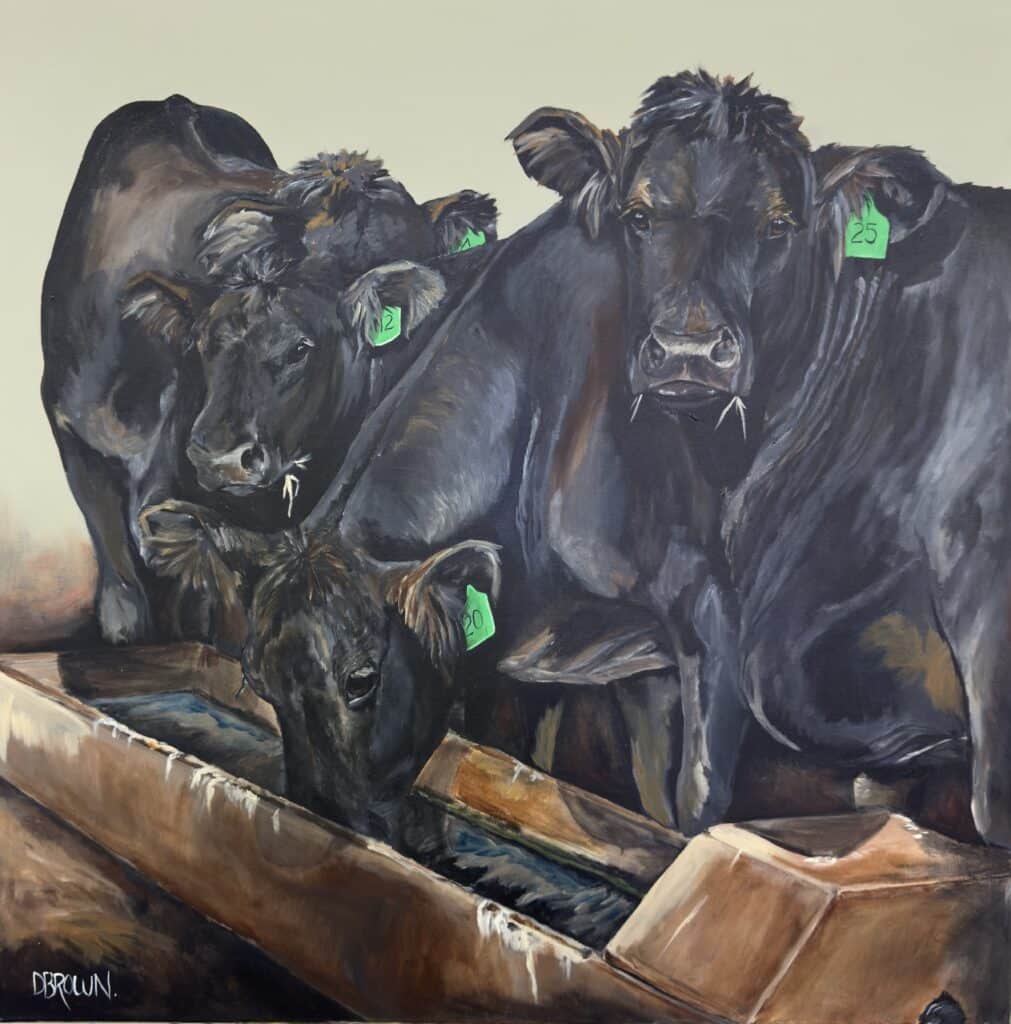 “At the Bar” by Donna Brown – a richly textured rural scene of black cattle at a trough, captured with warmth and realism.