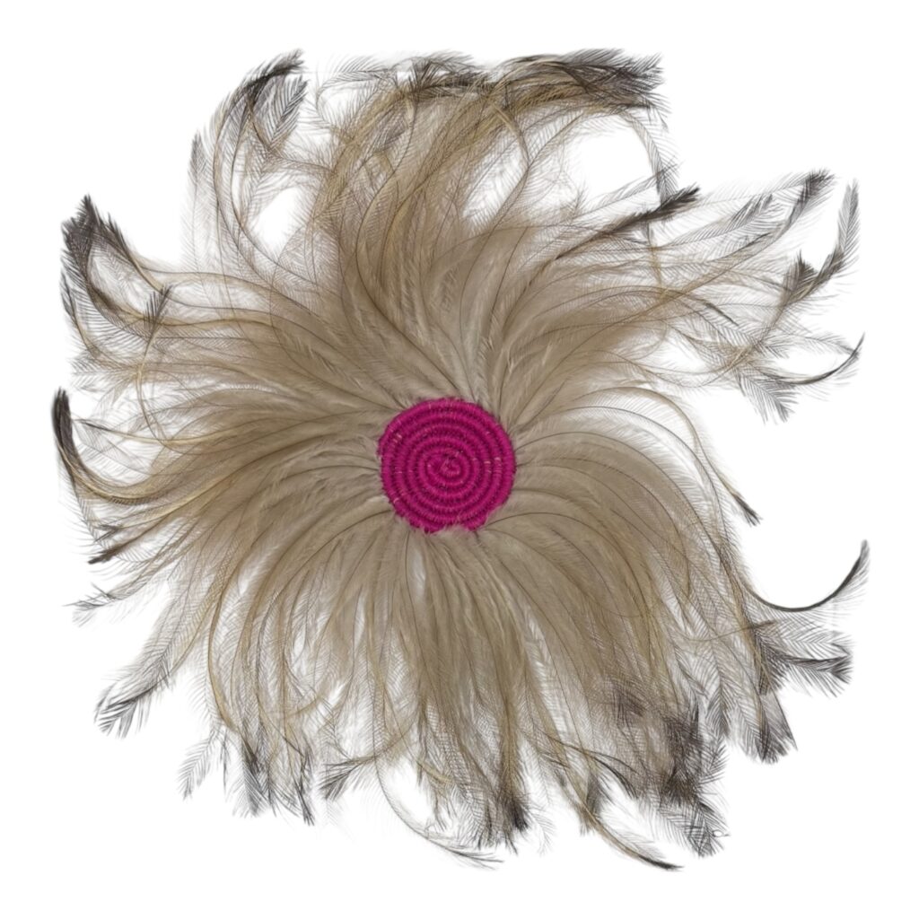 Discover Debbie Wood’s contemporary feather artworks at the Sydney Affordable Art Fair—original perspex and glass-encased pieces celebrating culture, Country, and identity.